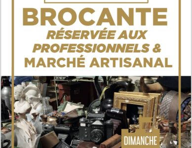 ⚖️ Brocante des professionnels à Pierrefonds